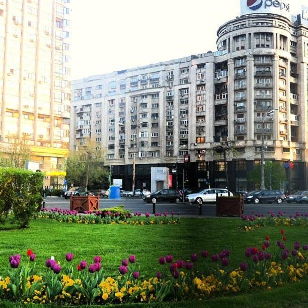 Apartment Yellow Apartment Bucharest